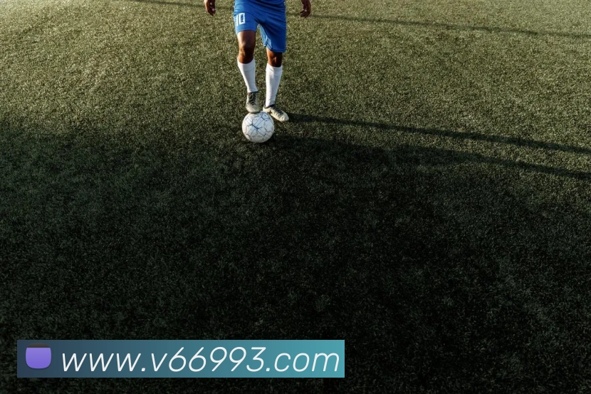平台展示图