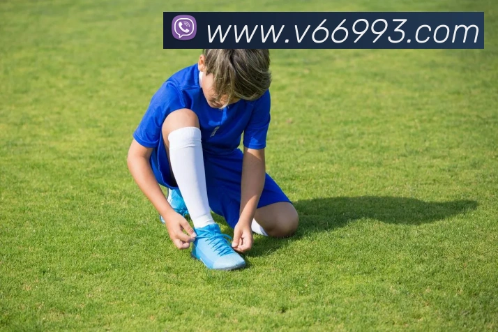 v66品牌故事